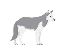 Load image into Gallery viewer, Susikahvi wolf illustration - chocolatey light roast coffee beans from Kahvi Roast